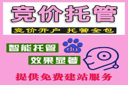 竞价代运营成功案例：助力企业实现品牌升级